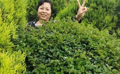 别夹那么紧h初次